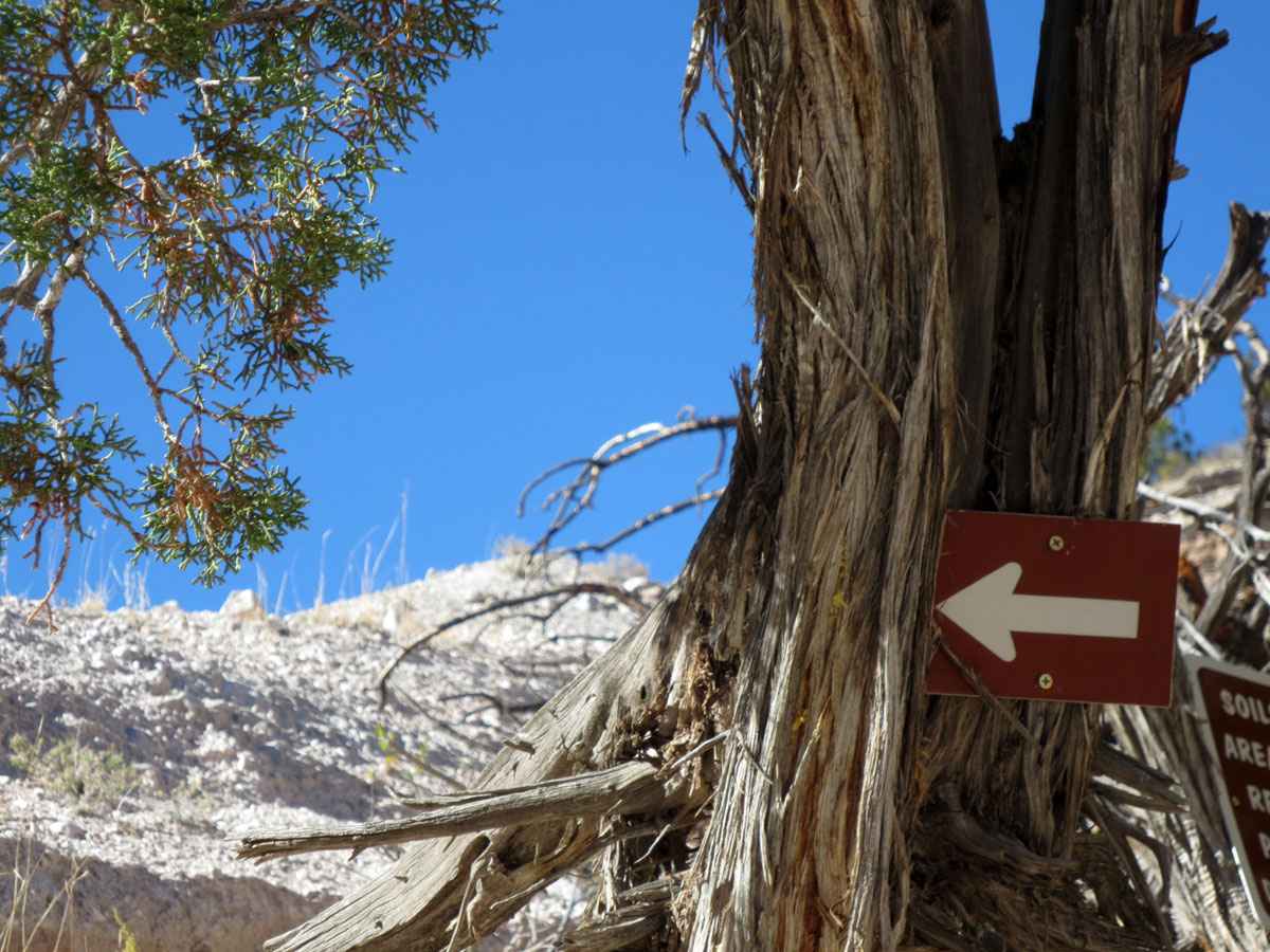 That way sign by Susan Fluegel